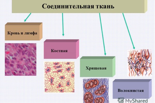 Омг ссылка т